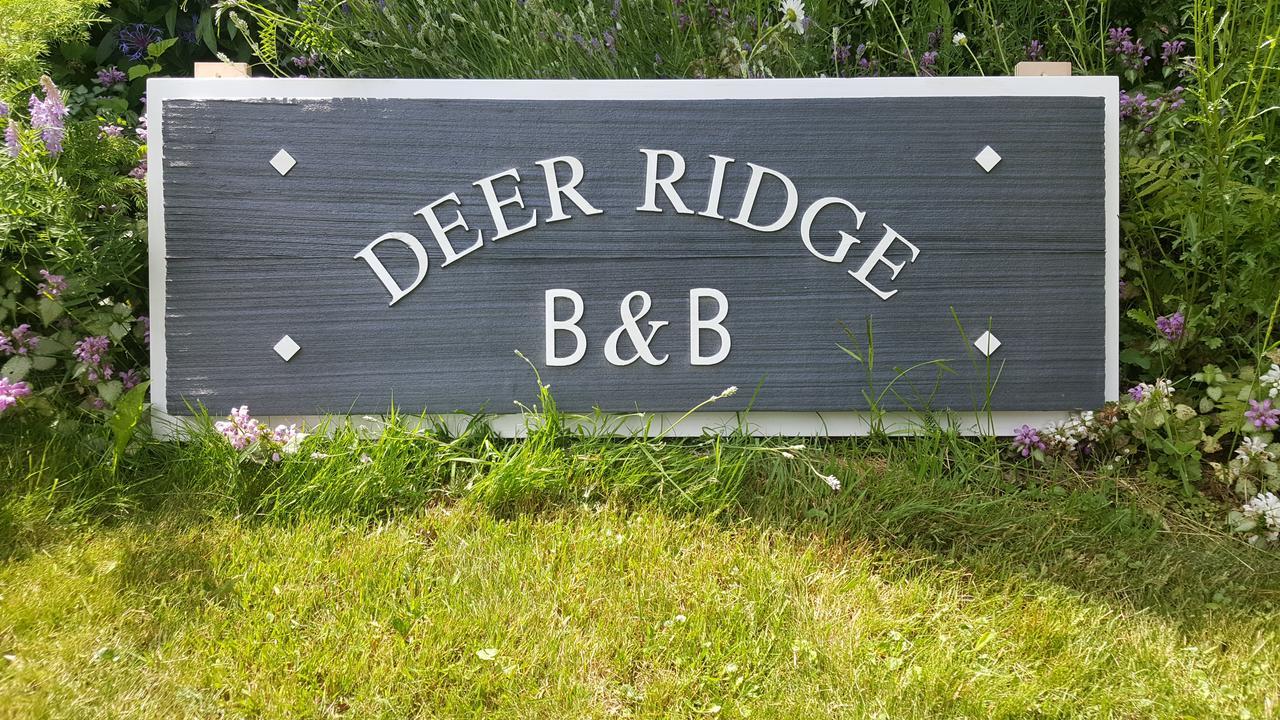 Deer Ridge B&B Голден Екстер'єр фото